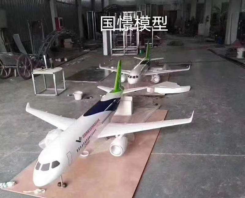 广河县飞机模型