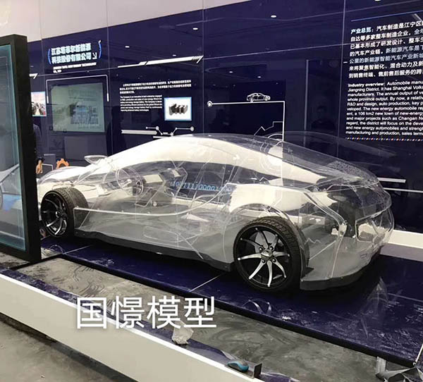 广河县透明车模型